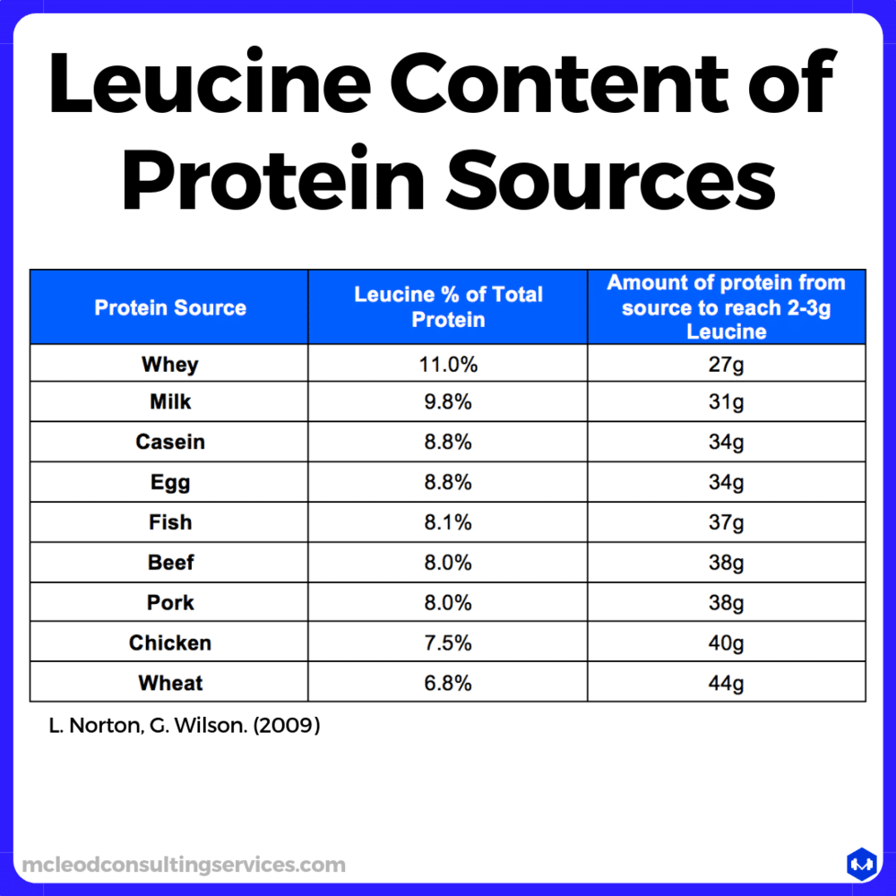 Literally Everything You Need To Know About Protein And Muscle Growth ...